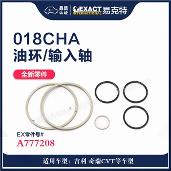 油环/输入轴