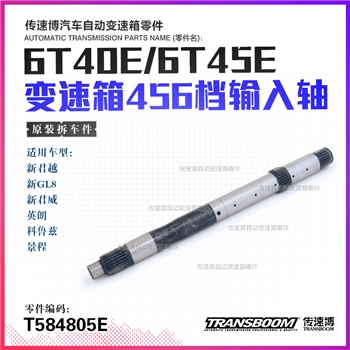 输入轴/262mm
